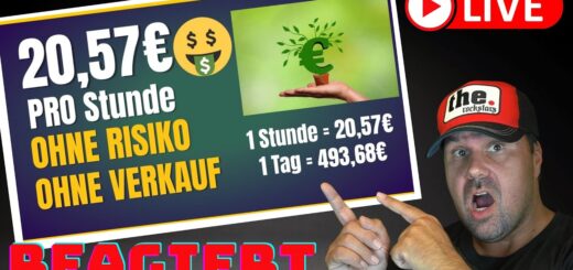 20,57€ PRO STUNDE💰💸 Online Geld verdienen OHNE RISIKO, OHNE STARTKAPITAL & OHNE ERFAHRUNG [Reaction]