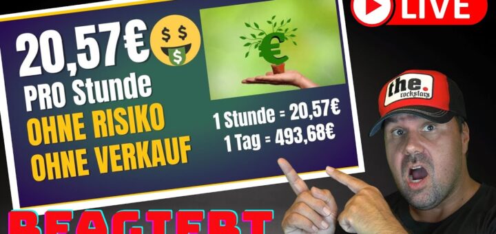 20,57€ PRO STUNDE💰💸 Online Geld verdienen OHNE RISIKO, OHNE STARTKAPITAL & OHNE ERFAHRUNG [Reaction]