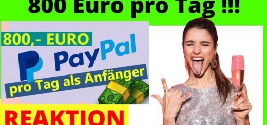 800 Euro pro Tag 💰online Geld verdienen als Anfänger  – komplette Anleitung [Michael Reagiertauf]