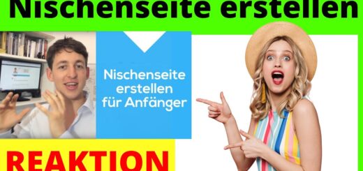 Geld verdienen mit Nischenseiten ✅ Schritt für Schritt Übersicht für Anfänger [Michael Reagiertauf]