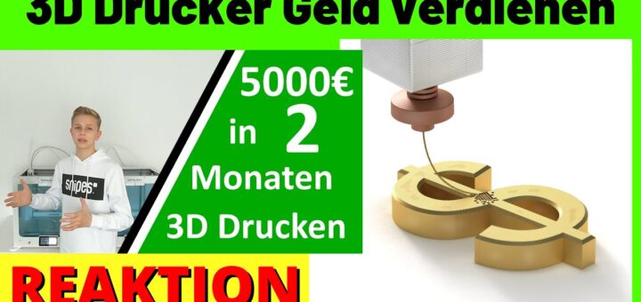 Mit dem 3D Drucker Geld verdienen 5000€  ✅ Geld verdienen 3D Drucker [Michael Reagiertauf]