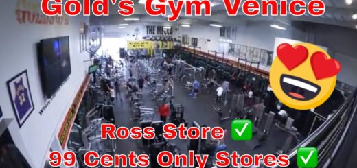 Vlog #12 Gold's Gym Venice ✅  Ross Store ✅  99 Cents Only Stores deutsch ✅