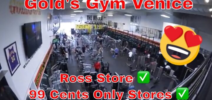 Vlog #12 Gold's Gym Venice ✅  Ross Store ✅  99 Cents Only Stores deutsch ✅